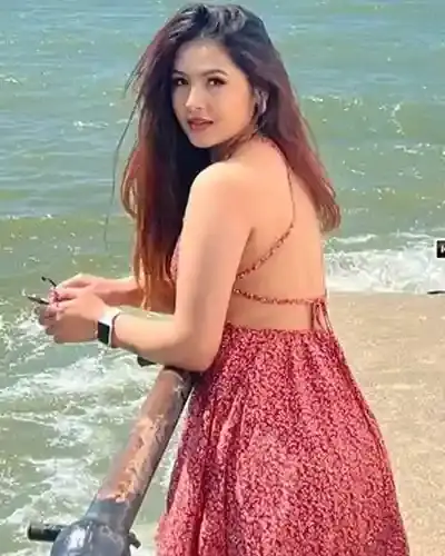 Hansi Escort Service